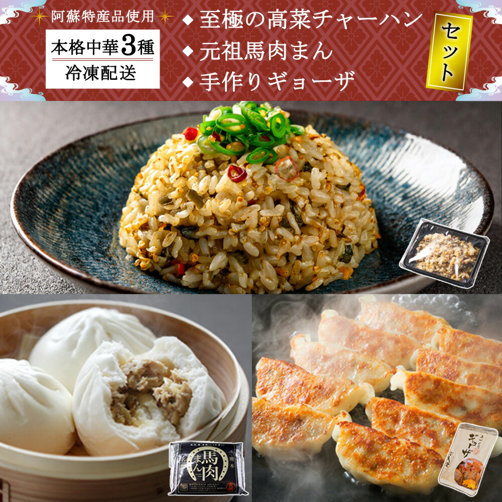 【ふるさと納税】阿蘇特産品を使ったオリジナル中華セット　特産高菜　オリジナルピリ辛チャーハン　馬肉　珍しい肉まん　　中華セット　超簡単　簡単本格中華　手作りギョーザ お取り寄せ おかず 時短調理 豪華 晩酌 朝ご飯 昼飯 晩御飯 熊本県 阿蘇市