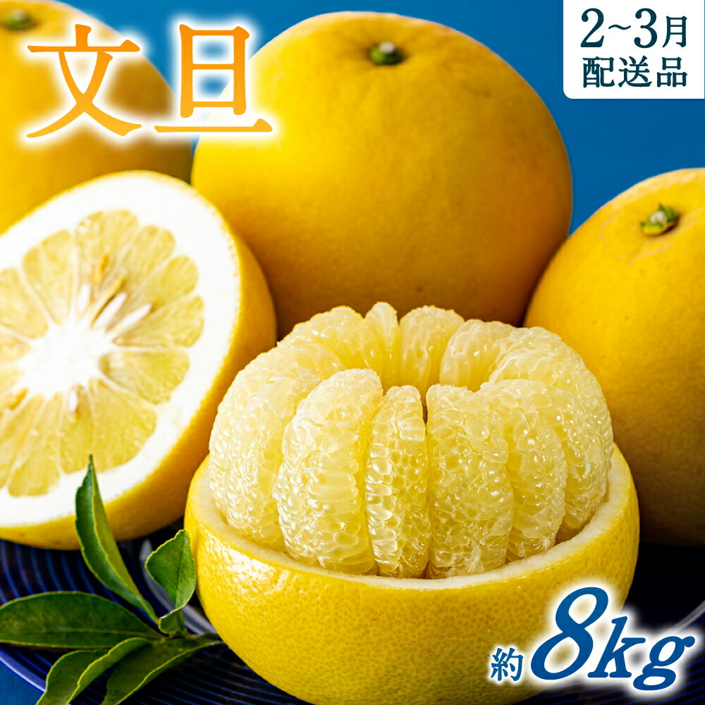 【ふるさと納税】【予約受付・期間限定商品】福岡柑橘王国・文旦(2026年2月～3月配送予定) ぶんたん ぼんたん 南国 フルーツ 旬 季節 果物.AA092