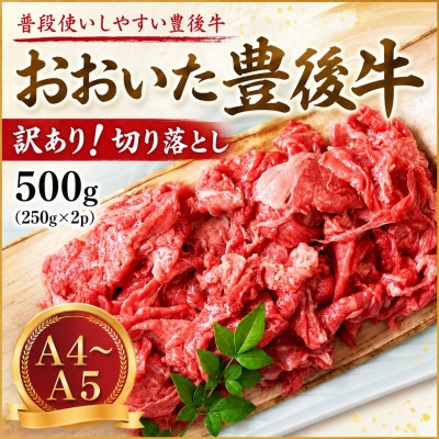 
                  ＜A4～A5＞訳あり!おおいた豊後牛切り落とし 500g(250g×2p)【1764435】
                