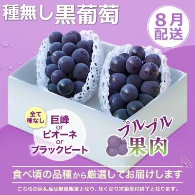 ふるさと納税 笛吹市 【発送月固定定期便】2026年発送 黒葡萄 シャインマスカット全2回 |  | 01