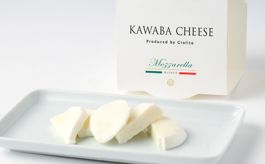 4種のビールとモッツァレラセット【配送不可地域：離島】