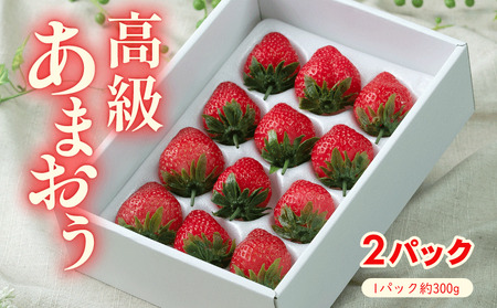 【2025年12月上旬から2026年3月末発送】あまおうギフト箱 24-30粒 NGK014_z