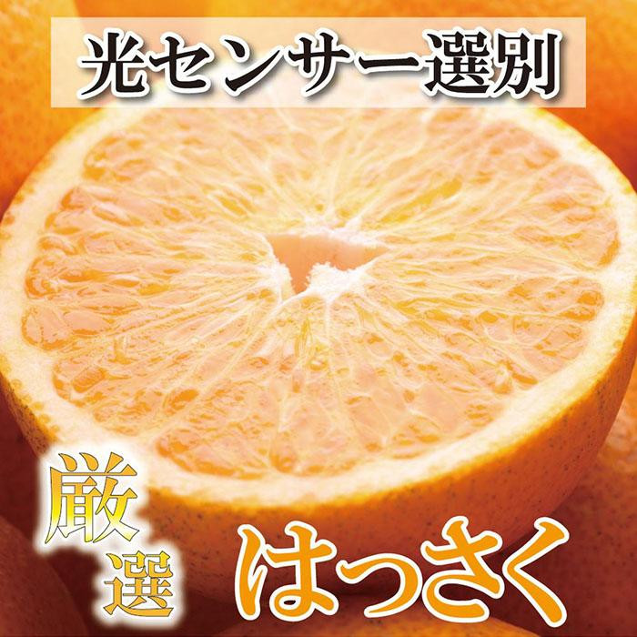 
            ＜4月より発送＞ 厳選 樹上完熟 はっさく4kg+120g（傷み補償分） 八朔 さつき 木成 ［IKE32］
          