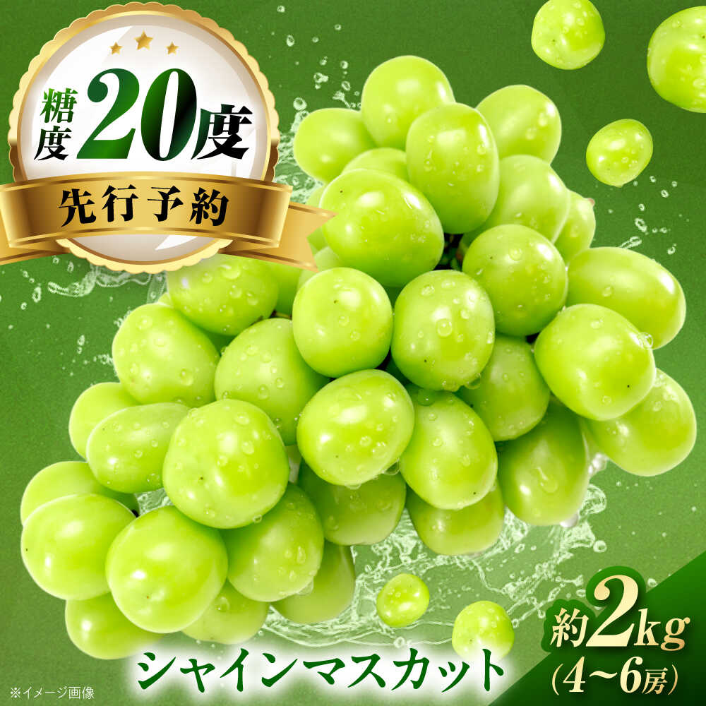 【ふるさと納税】【先行予約】シャインマスカット 約2kg1箱（4房〜6房）＜2026年8月中旬から発送＞/ シャインマスカット マスカット ますかっと ぶどう ブドウ 葡萄 愛媛県 愛媛 内子町 フルーツ 果物 送料無料 美味しい【有限会社ふじブドウ園】[BKCW005] 22000 22000円