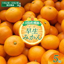 【ふるさと納税】【先行受付】川田柑橘園 広島 大長産 「 早生 みかん 」5kg ミカン 蜜柑 フルーツ 果物 柑橘 ビタミンC お取り寄せ 国産 国内産 先行予約 広島県 呉市 コク 爽やかな酸味 甘味 濃厚 風邪予防 美肌効果 大長 大長みかん ジューシー