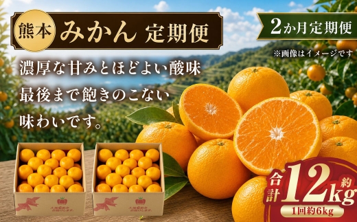 【 2か月定期便 】 熊本 みかん 定期便 （ 11月 ・ 12月発送 ） 果物 フルーツ 果実 果汁 果肉 国産 柑橘 冷蔵 定期 定期配送 旬 旬の果物