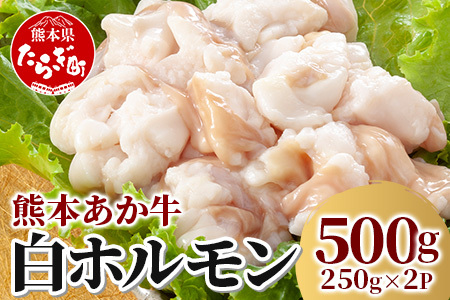 【 年内お届け 】熊本あか牛 白ホルモン 計500g（250g×2パック）冷凍真空パック ※12月18日～28日発送※ 熊本 熊本県産 あか牛 冷凍 真空 もつ鍋 ホルモン 焼き肉 041-0135-R612