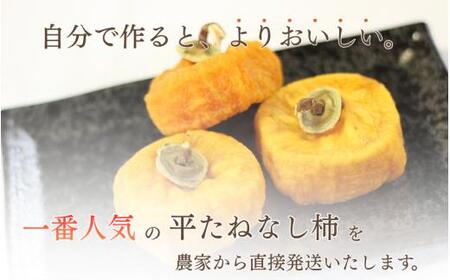 【県認定エコファーマー】柿 干し柿 甘さが違う！とっても甘くなる生渋柿（平たねなし柿）あんぽ柿用 T軸枝無 約2.5〜3kg 約9〜18個 １０月下旬〜順次発送(日付指定不可)-AP【art041】