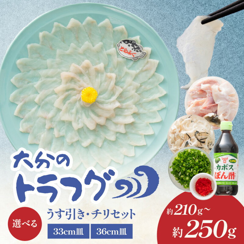 【ふるさと納税】トラフグ うす引き・チリセット 【選べる内容量】33cm皿（210g) or 36cm皿（250g）【4月～10月までお届け】 ふぐ フグ ふぐ刺し 薄引き ふぐちり ちり鍋 かぼす トラフグ 河豚 お祝い 記念日 カボスポン酢 アラ E05029 E05030