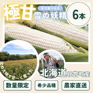 ＜2025年9月上旬よりお届け＞【朝採り】北海道壮瞥産 白いとうもろこし「雪の妖精」Lサイズ6本(約2kg) 【 ふるさと納税 人気 おすすめ ランキング ホワイトコーン 雪の妖精 白い 白 トウモロ