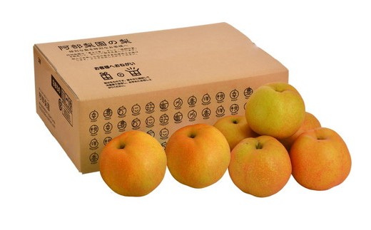 阿部梨園の梨（3kg　レギュラー箱）幸水 ※2026年8月～発送