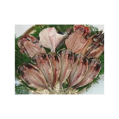 ふるさと納税 焼津市 干物職人の彩りセット(a10-050)