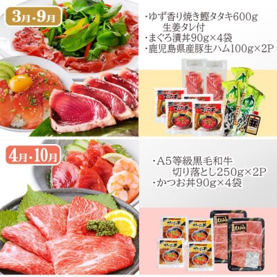 お肉とお魚　お楽しみ定期便　6回配送JJ10-0002【配送不可地域：離島】