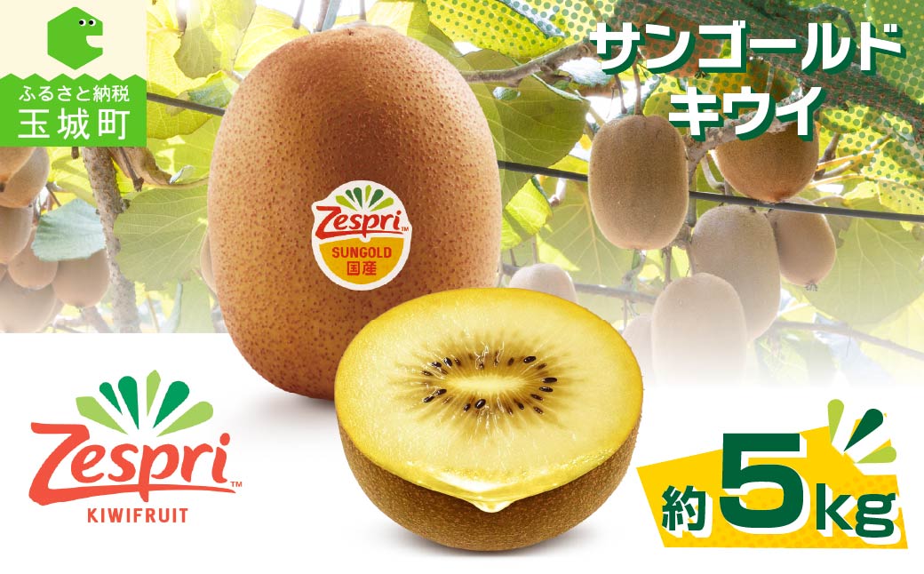 【先行予約】2026年度発送 三重県玉城町産 ゼスプリ サンゴールドキウイ 約5kg