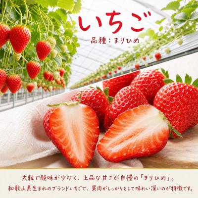 ふるさと納税 由良町 【発送月固定定期便】紀州和歌山産旬のフルーツセット(田村みかん・いちご・なつみ)全3回 |  | 01
