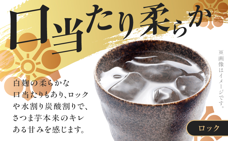 悪太郎 芋焼酎 25度 720ml×12本　K377-025_04