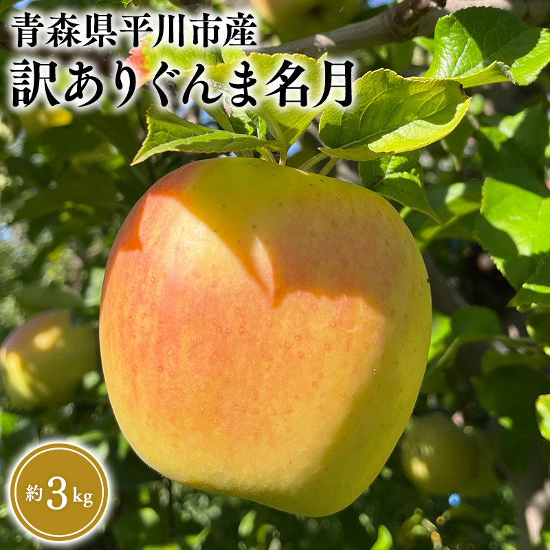 ≪2026年10月下旬頃より発送≫青森県産 訳あり ぐんま名月 約3kg【青森県 平川市 なるみ農園】家庭用 訳アリ 青森 青森県産 平川 りんご リンゴ 林檎 くだもの 果物 フルーツ