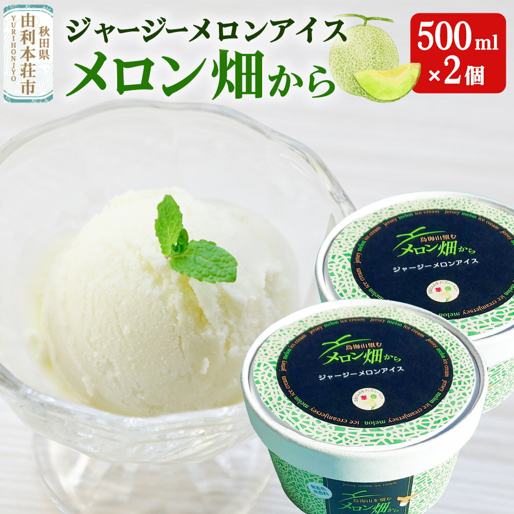 【ふるさと納税】ジャージーメロンアイス「メロン畑から」500ml×2個 メロンミルク フルーツ