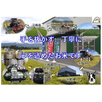ふるさと納税 阿賀野市 【令和7年産先行受付】阿賀野市産 コシヒカリ 「ファームホリコシ美田米」 5kg 白米 精米 |  | 02
