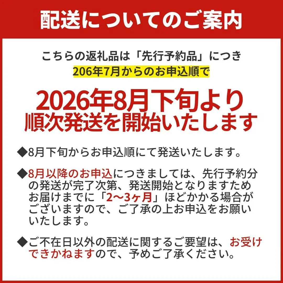 ＜先行予約＞ つぶ刺し 300g つぶ貝 刺身 ツブ貝 ツブ刺し スライス 冷凍 宮城県 石巻市