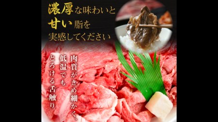 【茨城県共通返礼品／行方市】 常陸牛 切り落とし 約600g 牛肉 牛 ひたち牛 ブランド牛 贈答用 国産 黒毛和牛 最高級 スライス しゃぶしゃぶ カレー 煮物 [CF006ya]