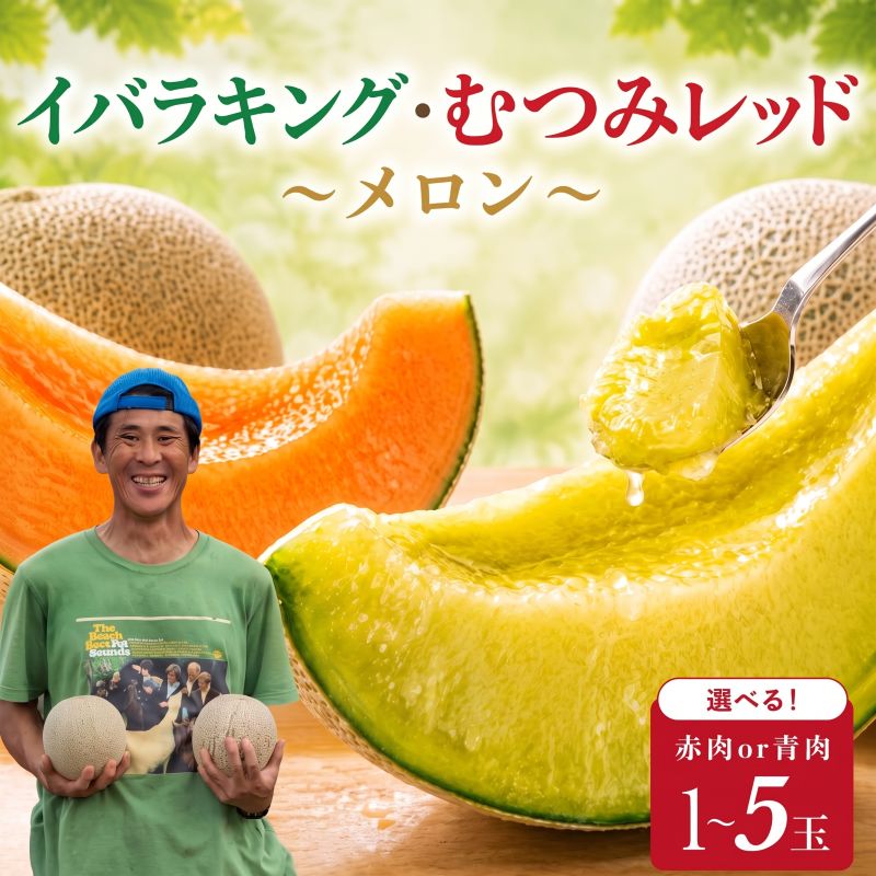 【ふるさと納税】 【2027年先行予約】 メロン イバラキング むつみレッド 青肉 赤肉 1玉 〜 5玉 1.2kg 〜 4.5kg 果物 フルーツ 国産 meron melon 産地直送 ギフト 贈答 茨城 鉾田 方波見農園