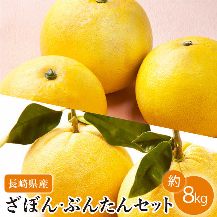 【ふるさと納税】【数量限定】長崎ざぼん・ぶんたん セット 約8kg【長崎ぶんたんの会 】[OAF008] / ザボン 朱欒 ブンタン フルーツ 果物 甘い 数量限定 長崎県産 柑橘 デザート