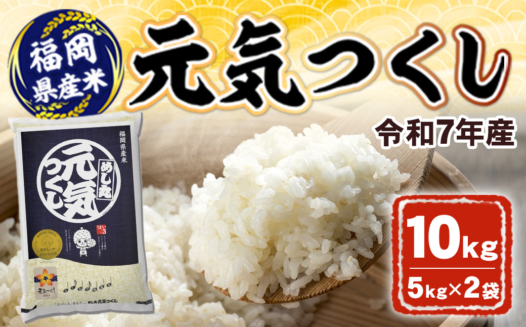 米 10kg 令和7年産 元気つくし 福岡県産 お米 