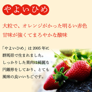 《1月発送》 訳あり いちご やよいひめ かおりの 計920g 先行予約 いちご いちご いちご いちご いちご いちご