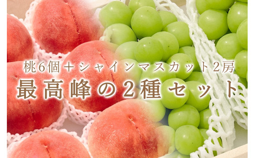 ＜25年発送先行予約＞ 笛吹市産 大玉桃6個と大粒シャインマスカット2房の2種セット【定期便】 193-012