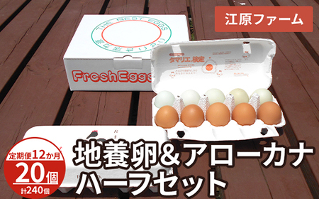 【定期便12か月】 江原ファーム　地養卵＆アローカナハーフセット（計20個）| 卵 たまご タマゴ _AG27