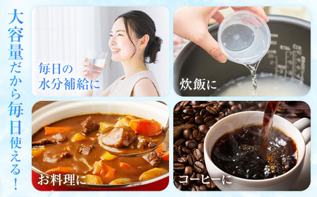 【6ヶ月定期便】白川水源 ミネラルウォーター タンク式  10L×1ケース ×6回《お申込み翌月から出荷》熊本県 南阿蘇村 物産館自然庵 水 ミネラルウォーター 飲料水 飲み水 南阿蘇