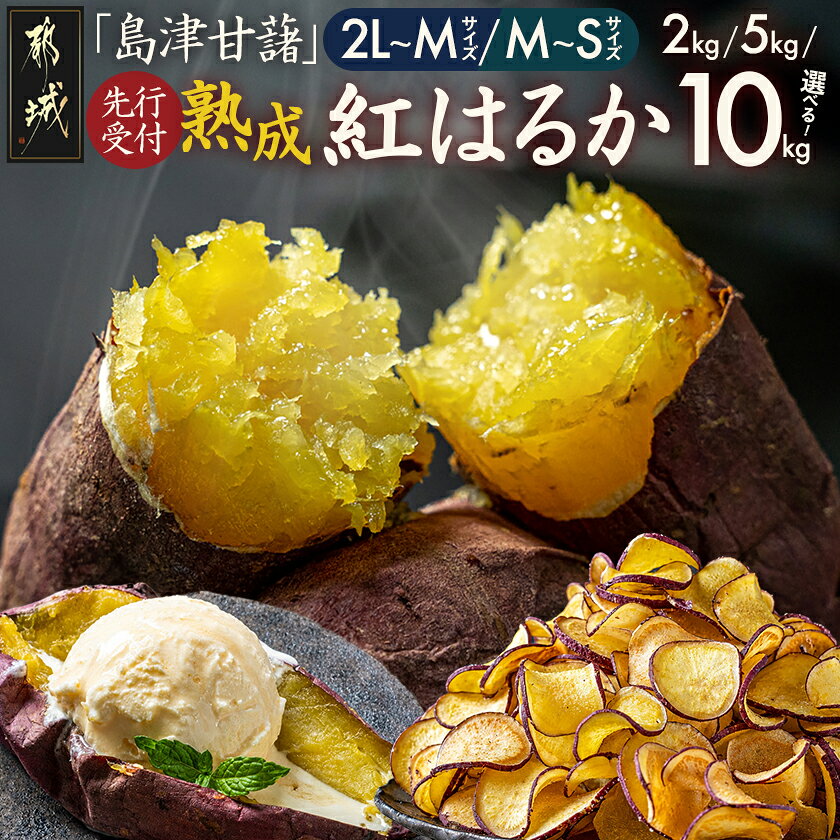 島津甘藷・熟成紅はるか10kg！約40日熟成｜2L～2Sサイズ・土付き・お届け月が選べる