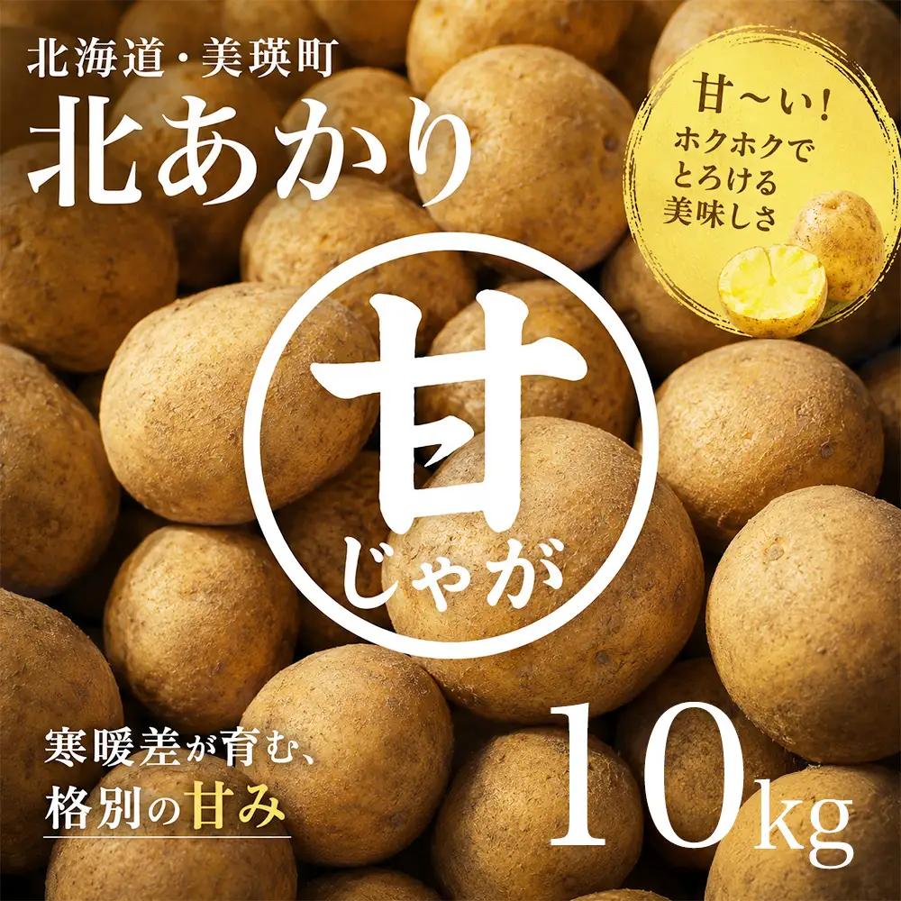 じゃがいも【令和８年産予約受付！】 北あかり10kg  じゃがいも  [010-214]
