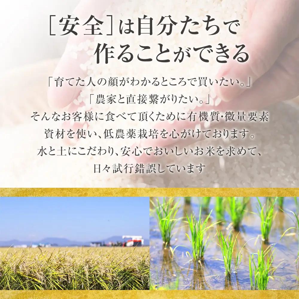 【36回定期便】白米 特A ゆめぴりか 5kg フロントライン 北海道 旭川市 定期便 精米 ブランド米 _05547