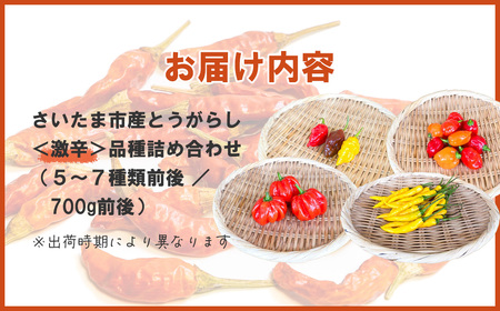 【十色とうがらしファーム】とうがらし　＜激辛＞品種詰合せ　【11100-0806】