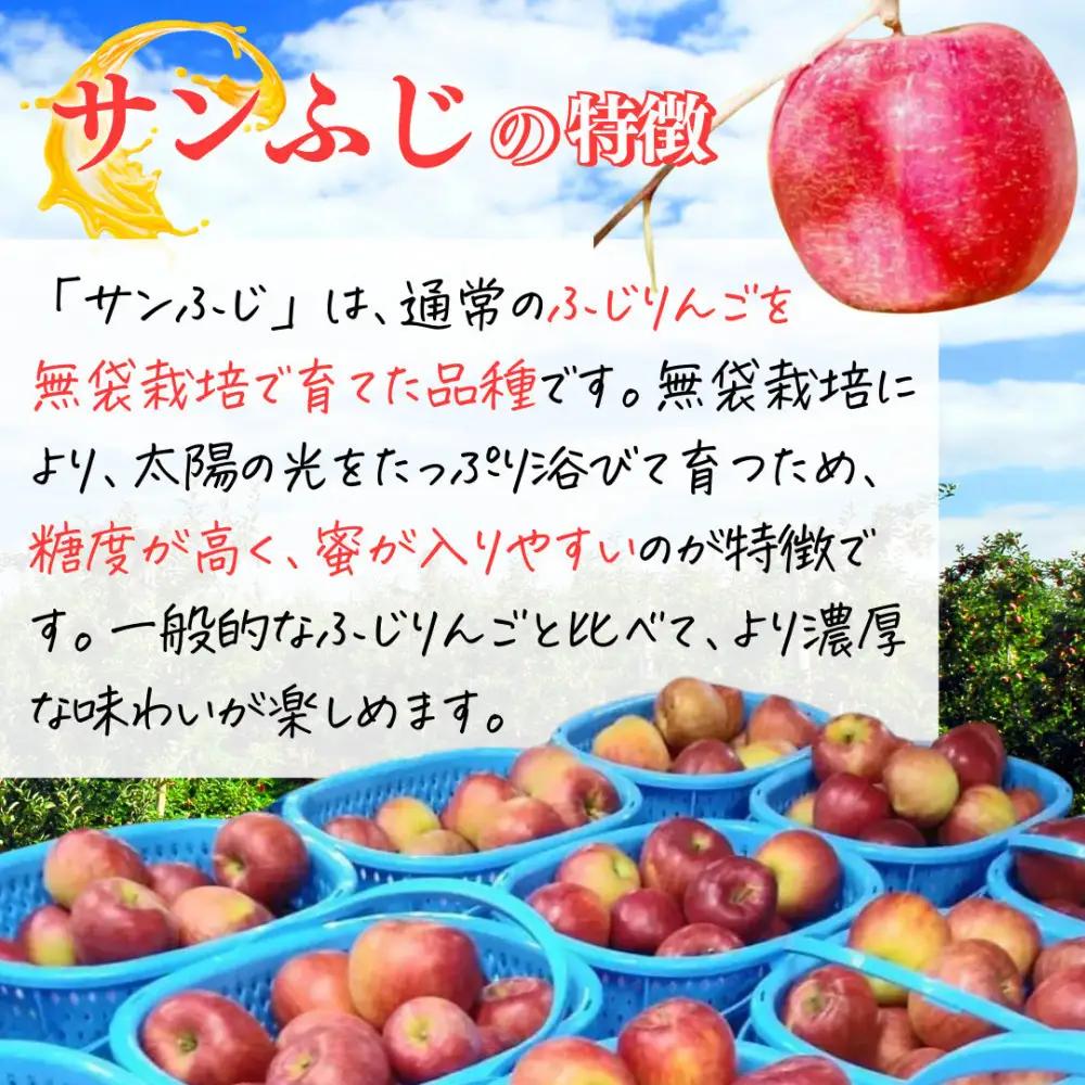 【11月下旬発送 先行予約】樹上熟成　サンふじ 3kg | りんご サンふじ 樹上熟成 糖度