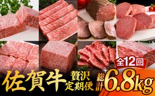 【全12回】 A5ランク 佐賀牛 霜降り 食べ比べ 定期便 約2-3人前 総計6.8kg /焼肉どすこい [UCC004] 最高級 牛肉 肉 ステーキ スライス ローストビーフ 焼肉