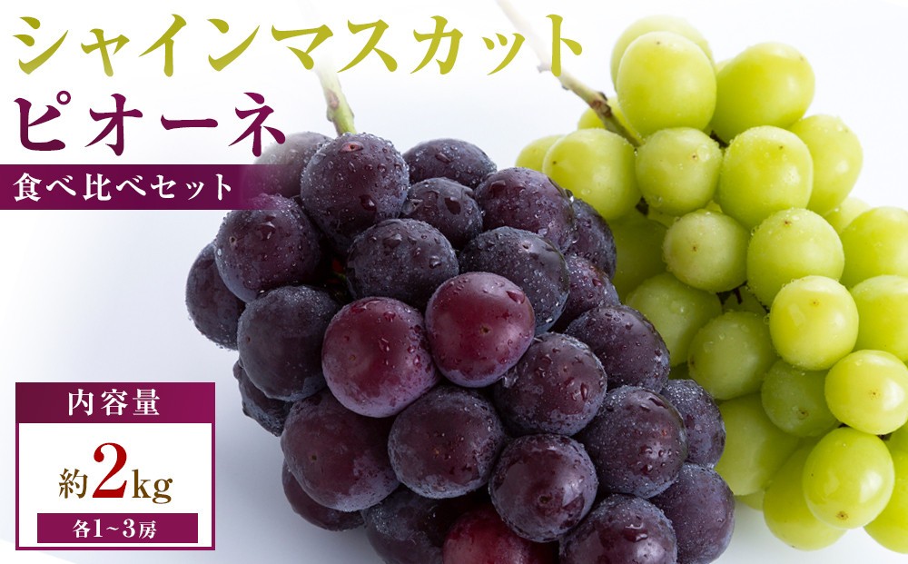 
                  【満足セット】人気の2品種　シャインマスカット+ピオーネ食べ比べセット　約2kg(各1～3房)
                