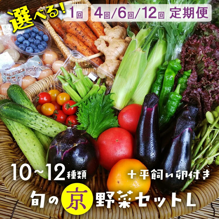【ふるさと納税】旬の京野菜セットL（平飼い卵付）＜アスカ有機農園＞＊毎月お届け 定期便 4回 6回 12回≪ 定期 野菜 京都 京野菜 たまご 卵 野菜セット 詰め合わせ 無農薬 有機 有機栽培 有機野菜 直送 冷蔵 亀岡市 京丹後市 ふるさと納税 野菜≫発送時期が選べる