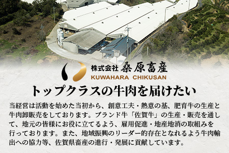 佐賀牛 ロース ステーキ用 500g (2枚入) D-173