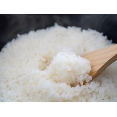 ふるさと納税 松江市 令和7年産 プレミアム仁多米(こしひかり)なおらい米 真空パック 2kg×1袋(合計2kg)松江市 |  | 02