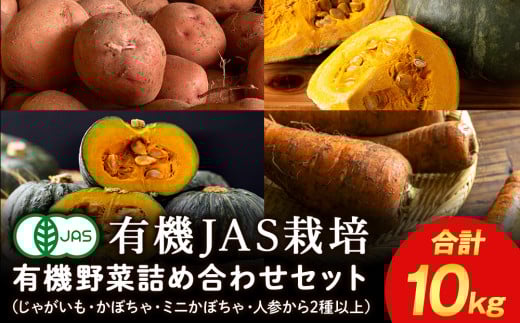 【2025年秋発送】 秋の 有機野菜 セット 10kg 《 たかのふぁーむ 》 ジャガイモ いも カボチャ にんじん 人参 野菜 有機 北海道 積丹
