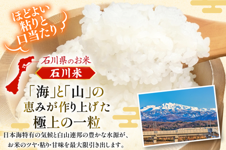 米 令和7年 石川米 こしひかり 5kg 白米 [38601197] 米