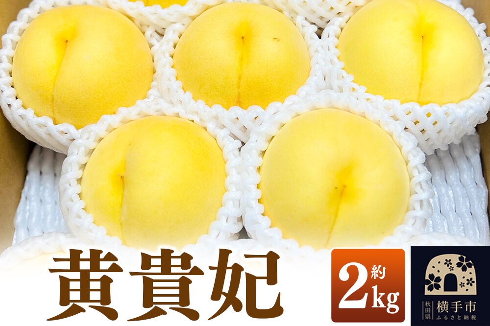 
                  【先行受付】9月上旬より発送 黄貴妃 約2kg（6～9玉前後）モモ もも 黄色桃 [先行予約 もも モモ 黄桃 黄色桃 果物 フルーツ 横手産 秋田産 秋田県産]
                