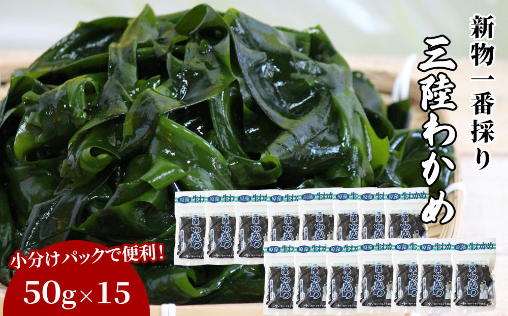 
            fc-39-011   一番採り三陸わかめ (塩蔵) 小分けセット（50g×15) ヤマキイチ商店 
          