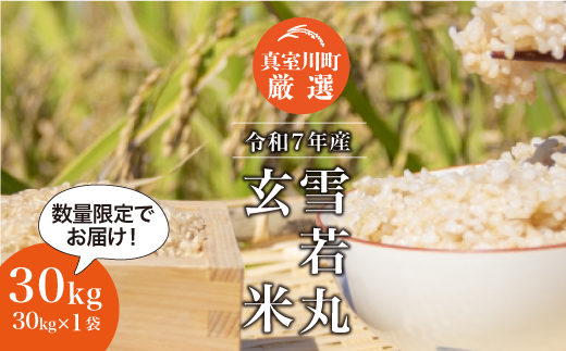 ＜令和7年産 雪若丸＞【玄米】 30kg （30kg×1袋）＜配送時期指定可＞★数量限定★ 　真室川町