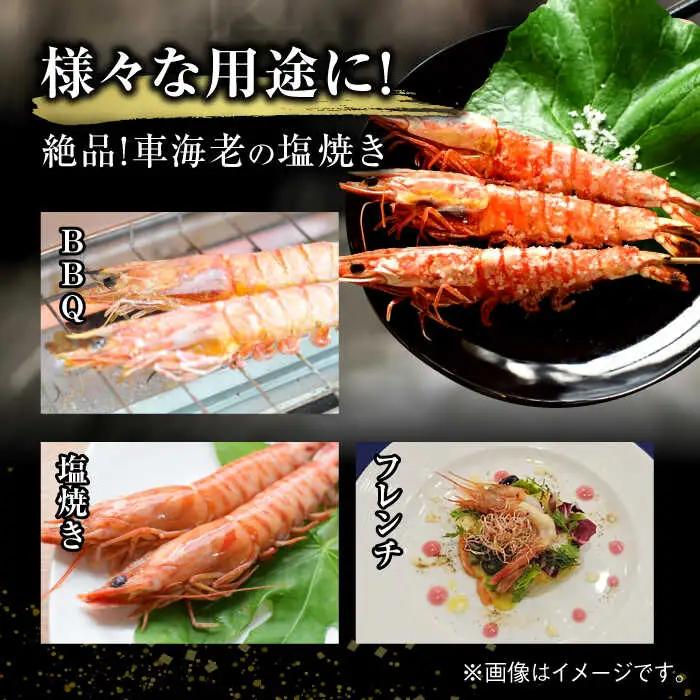 伊万里特産 車海老の塩焼き 計8尾 / 佐賀県 / 株式会社拓水 伊万里クルマエビセンター [41AEAJ004]