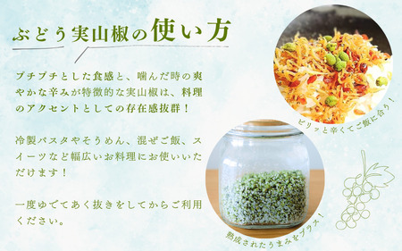 山椒 さんしょう 香辛料 調味料 薬味 冷凍 ぶどう山椒 / 冷凍ぶどう生実山椒 500g【twn006】