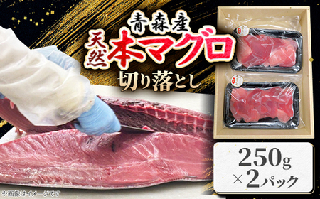 青森産　天然本マグロ　切り落とし【配送不可地域：離島】【1657204】